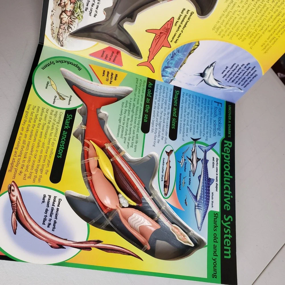 Uncover a Shark David George Gordon 3D Anatomy Model Board Book Silver Dolphin